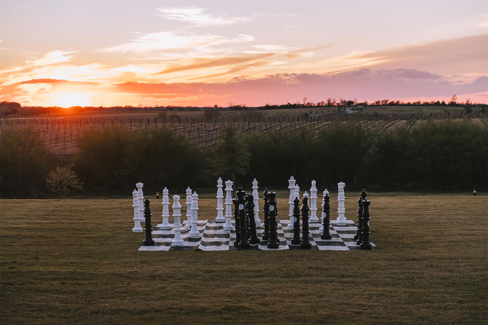 chess in vineyard